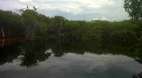 Cenote on land available near Tulum Neach, Yucatan, Mexicoj – Best Places In The World To Retire – International Living